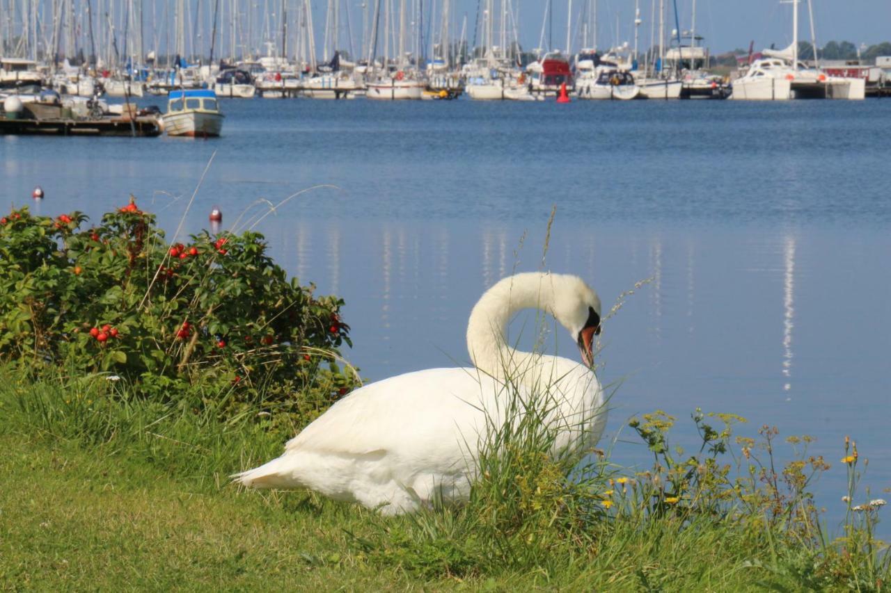2Zi-Ferienwohnung Am Suedstrand Mit Eigenem Parkplatz Perfekt Fuer Familie Burgtiefe auf Fehmarn Extérieur photo